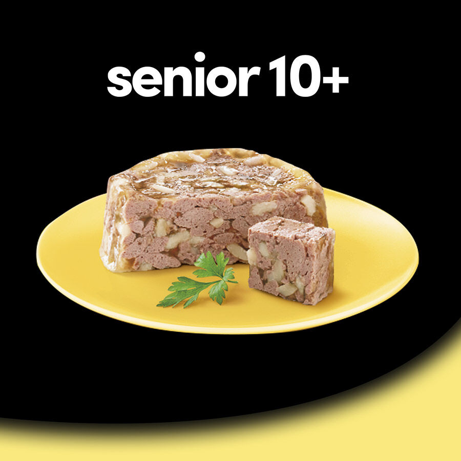 28 terrinas x 150 g (20 + 8 terrinas gr&aacute;tis!) Cesar Frango e Arroz Terrina em Geleia para C&atilde;es S&eacute;nior, , large Imagem n&uacute;mero 5